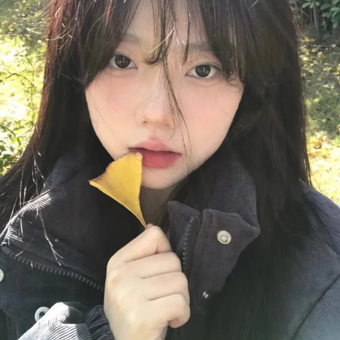 凛冬王第一季