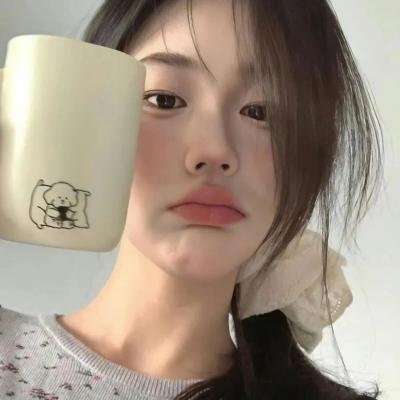 菊石